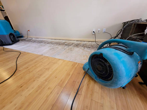 Professional Structural Drying technician working in Fryeburg, ME